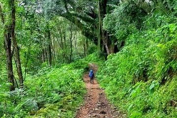 yungas-360x240